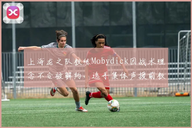 上海龙之队教练Mobydick因战术理念不合被解约,选手集体声援前教练