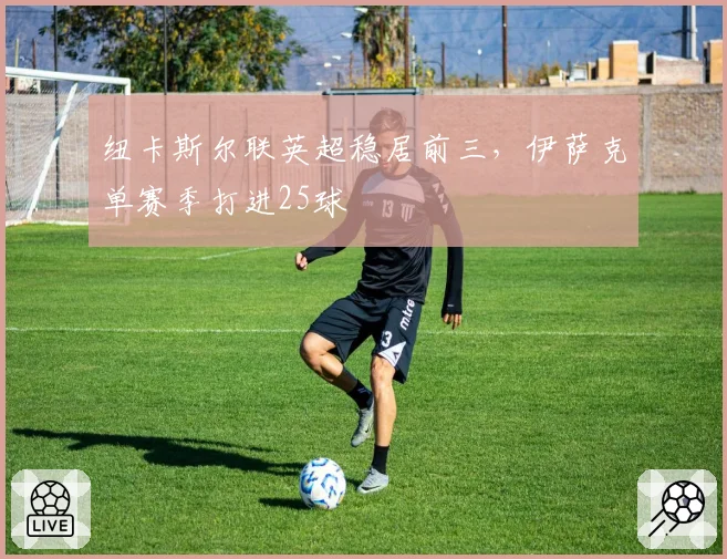 纽卡斯尔联英超稳居前三，伊萨克单赛季打进25球