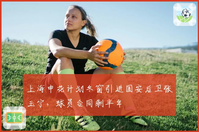 上海申花计划冬窗引进国安后卫张玉宁，球员合同剩半年
