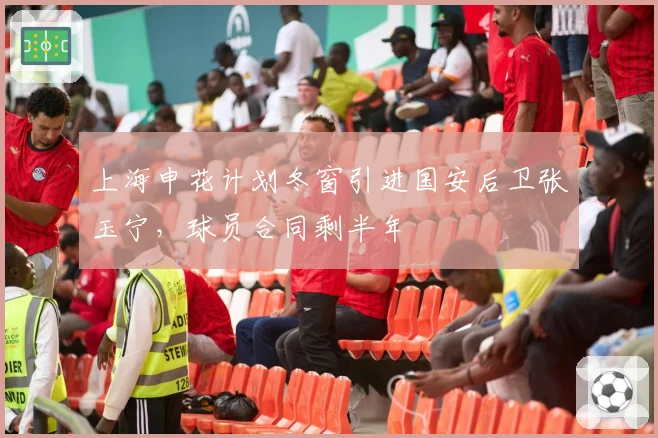 上海申花计划冬窗引进国安后卫张玉宁，球员合同剩半年